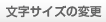 文字サイズの変更