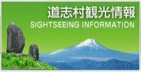 観光情報